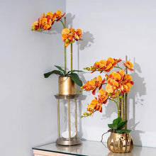Laden Sie das Bild in den Galerie-Viewer, VICKY YAO Faux Floral - Exclusive Design Orange Artificial Phalaenopsis Orchid Arrangement