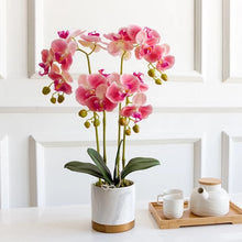 Load image into Gallery viewer, VICKY YAO Faux Floral - Exclusive Design Artificial  4 Stems Orchid Flowers Arrangement