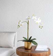 將圖片載入圖庫檢視器 Vicky Yao Faux Floral - Real Touch Artificial Orchid Flower Arrangement Golden Pot