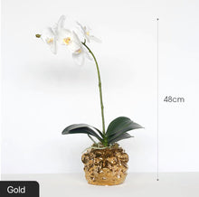 將圖片載入圖庫檢視器 Vicky Yao Faux Floral - Exclusive Design Real Touch Artificial Orchid Arrangement In Lion Head Pot