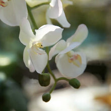 將圖片載入圖庫檢視器 Vicky Yao Faux Floral - Exclusive Design Luxury Real Touch Artificial White Orchid Arrangement In Silver Vase