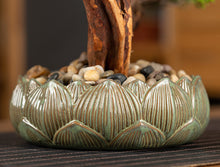 將圖片載入圖庫檢視器 VICKY YAO Faux Bonsai - Natural Artificial Bonsai Art Gift for Him in Lotus Medium Pot