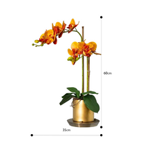 Laden Sie das Bild in den Galerie-Viewer, Vicky Yao Faux Floral - Exclusive Design Orange Artificial Phalaenopsis Orchid Arrangement
