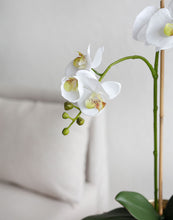 画像をギャラリービューアに読み込む, Vicky Yao Faux Floral - Real Touch Artificial Orchid Flower Arrangement Golden Pot