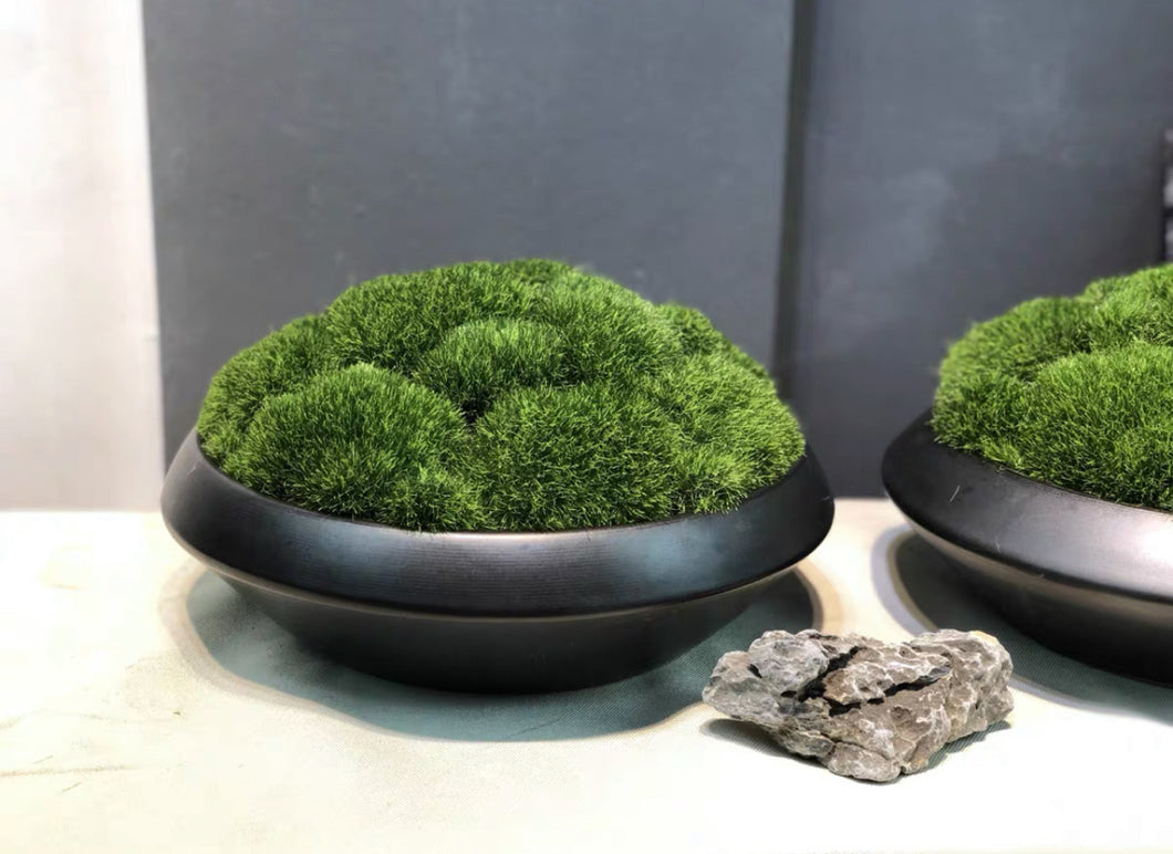 VICKY YAO Preserved Moss - Exclusive Design Preserved Moss Bowl Art In Ceramic Pot
