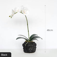 Load image into Gallery viewer, Vicky Yao Faux Floral - Exclusive Design Real Touch Artificial Orchid Arrangement In Lion Head Pot