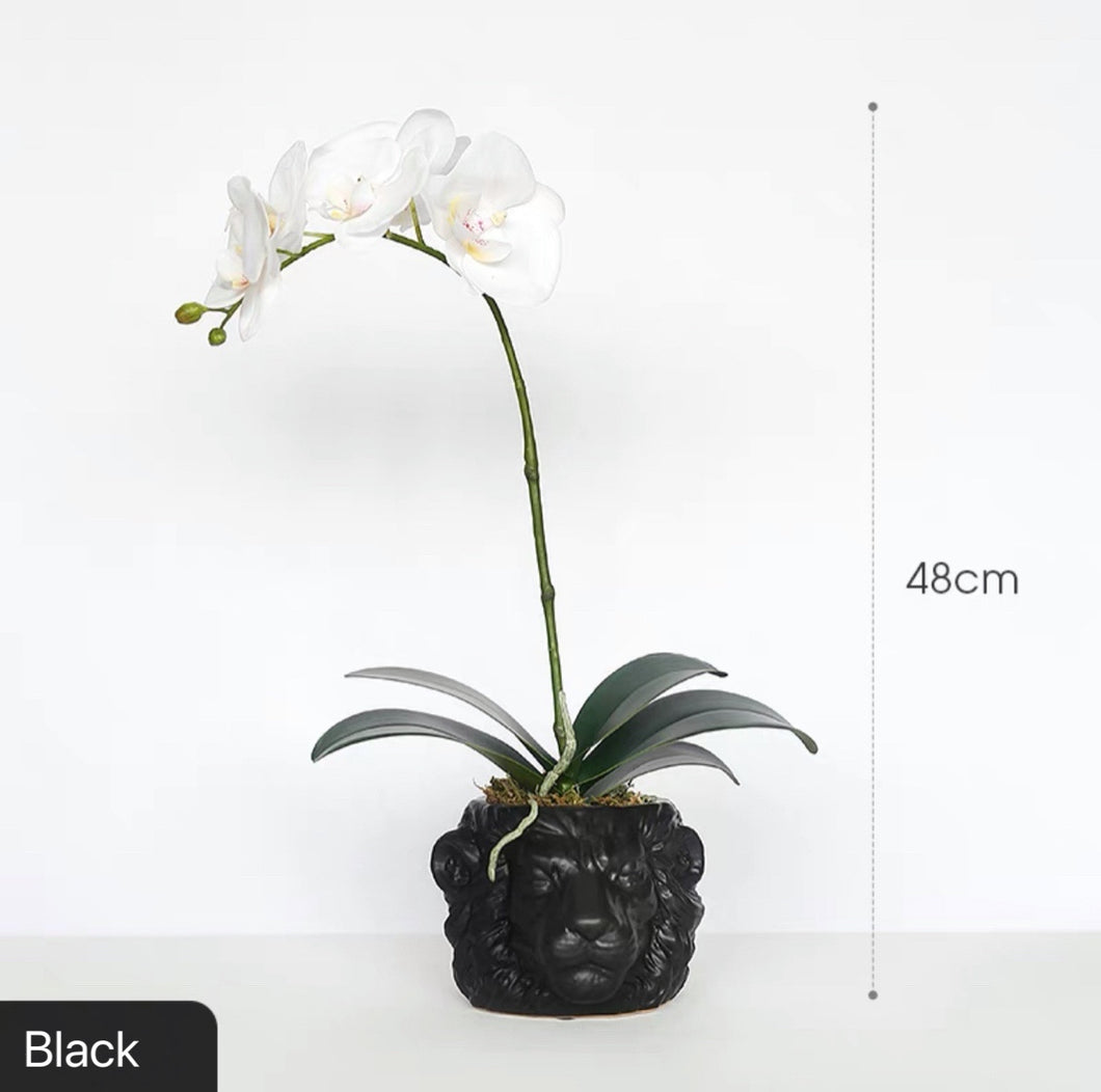Vicky Yao Faux Floral - Exclusive Design Real Touch Artificial Orchid Arrangement In Lion Head Pot