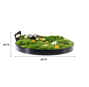 VICKY YAO Preserved Moss- Exclusive Design Summer Green Preserved Moss Bowl Arrangement