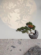 Load image into Gallery viewer, VICKY YAO Faux Bonsai - Exclusive Luxury Artificial Bonsai Tree in Realistic Moon Pot Faux Bonsai Art