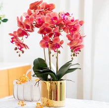 Laden Sie das Bild in den Galerie-Viewer, VICKY YAO Faux Floral - Exclusive Design Real Touch Artificial 5Stems White Orchid Flower Arrangement