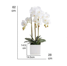 画像をギャラリービューアに読み込む, Vicky Yao Faux Floral - Exclusive Design Artificial 3 Stems Orchid Arrangement White Sube Pot