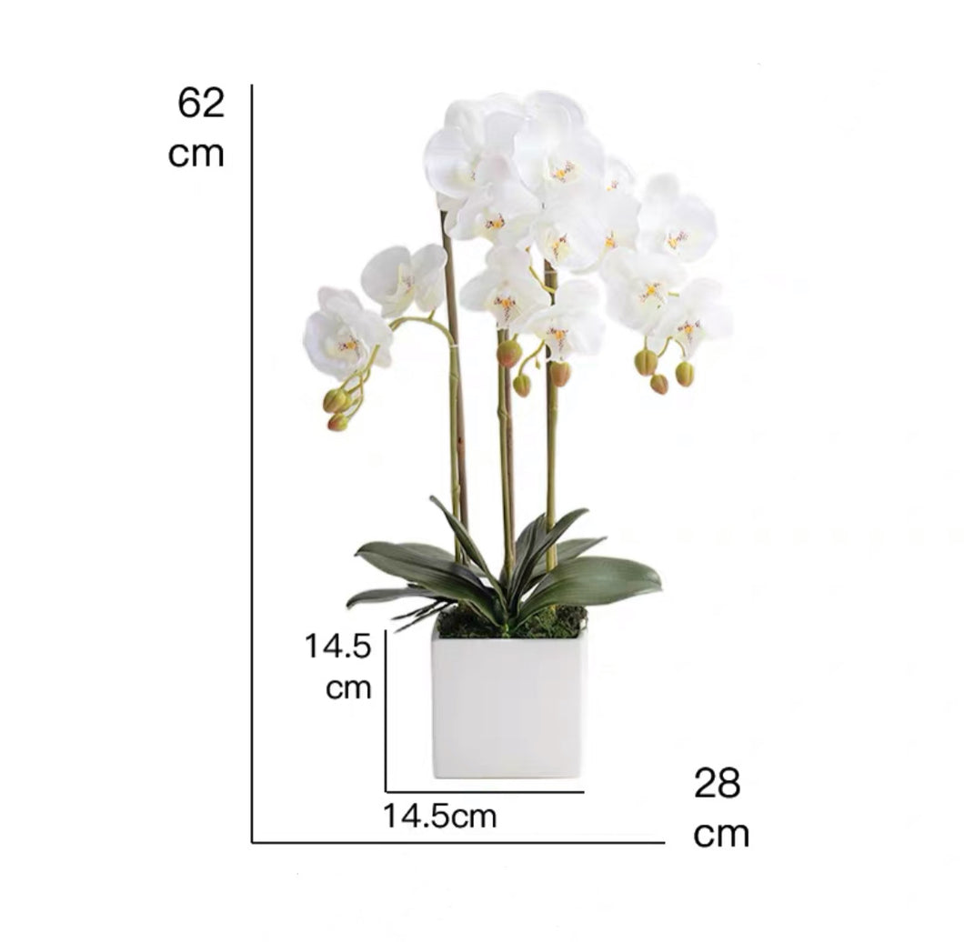 Vicky Yao Faux Floral - Exclusive Design Artificial 3 Stems Orchid Arrangement White Sube Pot