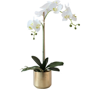 Vicky Yao Faux Floral - Real Touch Artificial Orchid Flower Arrangement Golden Pot