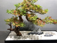 Load image into Gallery viewer, VICKY YAO Faux Bonsai - Exclusive Design Advanced handcraft Gradient Color Faux Bonsai Art Work Iron Base