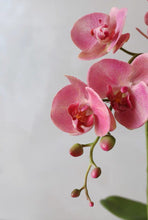 Laden Sie das Bild in den Galerie-Viewer, Vicky Yao Faux Floral -Exclusive Design Real Touch Exclusive Design Luxury Faux Orchids Arrangement in Golden Pot