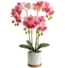 Laden Sie das Bild in den Galerie-Viewer, Vicky Yao Faux Floral - Exclusive Design Artificial  4 Stems Orchid Flowers Arrangement