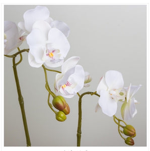 VICKY YAO Faux Floral - Exclusive Design Real Touch Artificial 5Stems White Orchid Flower Arrangement