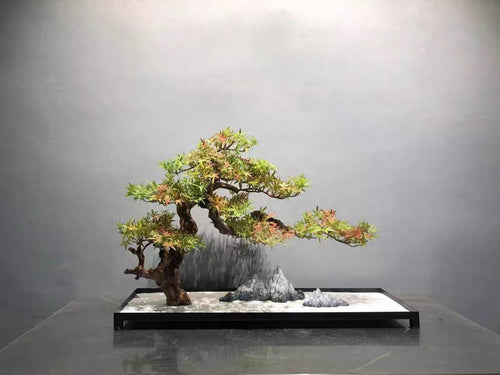 VICKY YAO Faux Bonsai - Exclusive Design Advanced handcraft Gradient Color Faux Bonsai Art Work Iron Base