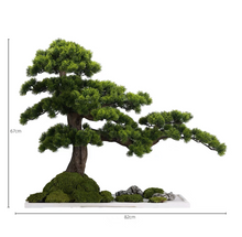 画像をギャラリービューアに読み込む, VICKY YAO -  December Limited Handmade high-end bonsai art works