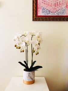 VICKY YAO Faux Floral - Exclusive Design Artificial  4 Stems Orchid Flowers Arrangement