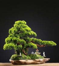 將圖片載入圖庫檢視器 VICKY YAO Faux Bonsai- Exclusive Design Artificial Landscape Bonsai Gift For Him