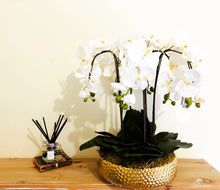 Laden Sie das Bild in den Galerie-Viewer, Vicky Yao Faux Floral - Best Popular Handmade Exclusive Design Natural Touch Artificial Orchids In Ceramic Golden Pot