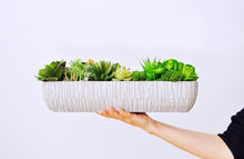 Load image into Gallery viewer, Vicky Yao Faux Plant - Exclusive Design Artificial Long Style Succulents Arrangement