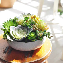 Load image into Gallery viewer, Vicky Yao Faux Floral - Real Touch colorful Succulents Arrangement - Vicky Yao Home Decor SEO