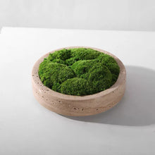 將圖片載入圖庫檢視器 Vicky Yao Faux Plant - Exclusive Design Artificial Moss Marble Bowl Arrangement