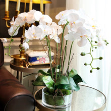將圖片載入圖庫檢視器 Vicky Yao Faux Floral - Exclusive Design Faux Orchid Arrangement With Glass Pot