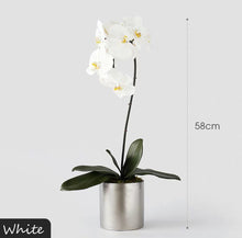 將圖片載入圖庫檢視器 Vicky Yao Faux Floral - Real Touch Artificial  Orchid 1 Stem Flower Arrangement Silver Pot