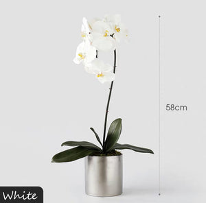 Vicky Yao Faux Floral - Real Touch Artificial  Orchid 1 Stem Flower Arrangement Silver Pot