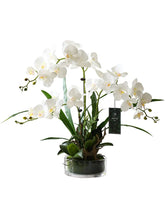 画像をギャラリービューアに読み込む, Vicky Yao Faux Floral - Exclusive Design White Faux Orchid Arrangement With Glass Pot