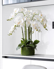Load image into Gallery viewer, VICKY YAO Faux Floral - Handmade Super High Real Touch Artificial Orchids Arrangement With Hard Mud Mortar Pot