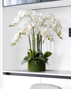 VICKY YAO Faux Floral - Handmade Super High Real Touch Artificial Orchids Arrangement With Hard Mud Mortar Pot