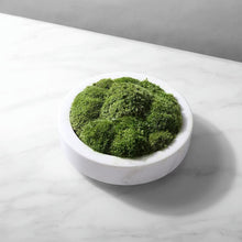Load image into Gallery viewer, Vicky Yao Faux Plant - Exclusive Design Artificial Moss Marble Bowl Arrangement