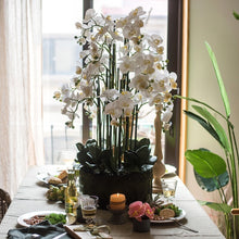 將圖片載入圖庫檢視器 VICKY YAO Faux Floral - Handmade Super High Real Touch Artificial Orchids Arrangement With Hard Mud Mortar Pot