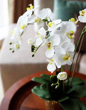 Load image into Gallery viewer, Vicky Yao Faux Floral - Exclusive Design Faux Phalaenopsis Orchid Flowers Arrangement