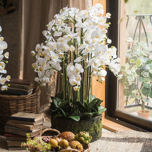 Laden Sie das Bild in den Galerie-Viewer, VICKY YAO Faux Floral - Handmade Super High Real Touch Artificial Orchids Arrangement With Hard Mud Mortar Pot