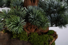 Load image into Gallery viewer, Vicky Yao Faux Bonsai - Exclusive Design Art Series Hotel Artificial Bonsai Arrangement