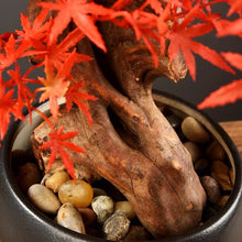 將圖片載入圖庫檢視器 VICKY YAO Faux Plant - Exclusive Design Artificial Red Maple Leaf Bonsai Arrangemen