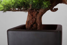 Load image into Gallery viewer, VICKY YAO Faux Plant - Exclusive Design Handcrafted Hotel Luxury Senior Club Artificial Plants Bonsai Arrangement