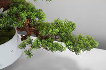 Load image into Gallery viewer, VICKY YAO Faux Plant - Exclusive Design Luxury Faux Green Bonsai Art