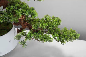VICKY YAO Faux Plant - Exclusive Design Luxury Faux Green Bonsai Art