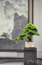 Laden Sie das Bild in den Galerie-Viewer, VICKY YAO Faux Plant - Exclusive Luxury Faux Bonsai Arrangement With Marble Pot