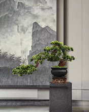 Load image into Gallery viewer, VICKY YAO Faux Bonsai - Best Selling Exclusive Design Handmade Realistic Faux Bonsai Art &amp; Natural Bonsai Spray 50ml