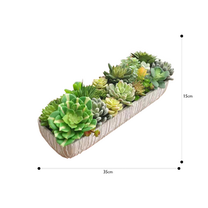 Vicky Yao Faux Plant - Exclusive Design Artificial Long Style Succulents Arrangement