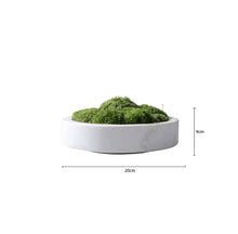 Laden Sie das Bild in den Galerie-Viewer, Vicky Yao Faux Plant - Exclusive Design Artificial Moss Marble Bowl Arrangement