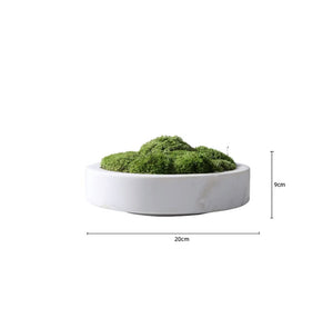 Vicky Yao Faux Plant - Exclusive Design Artificial Moss Marble Bowl Arrangement