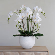 Laden Sie das Bild in den Galerie-Viewer, Vicky Yao Faux Floral - Exclusive Design Luxury Handmade 6 Stems Orchid Flower Arrangement